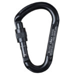 Be Lock Screw; black