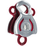 Janus PRO
